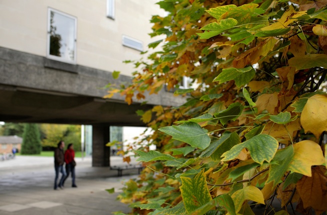 RFB External Building