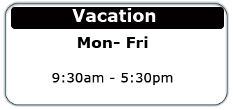Library vacation opening hours